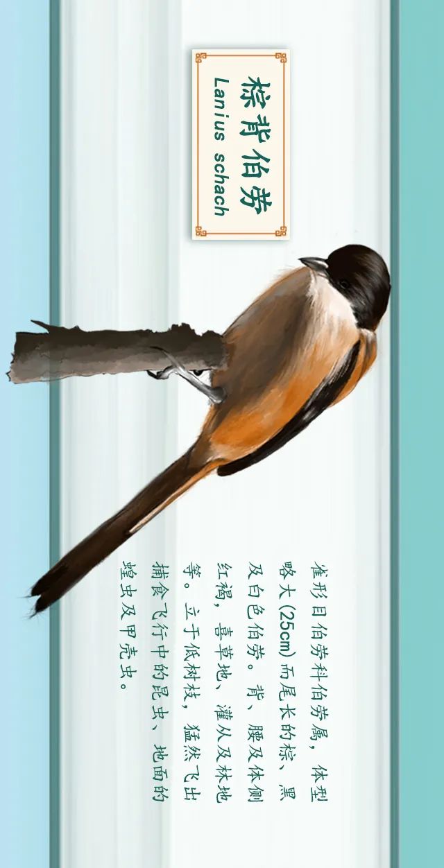 掌上春城(微信)