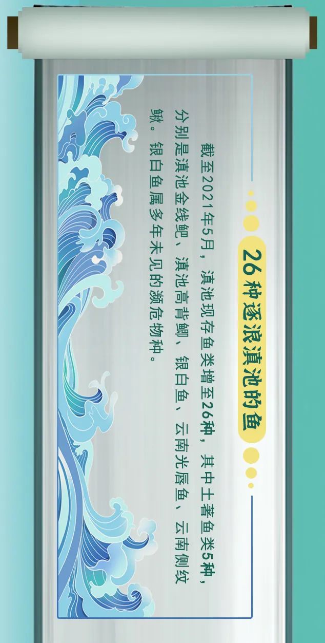 掌上春城(微信)