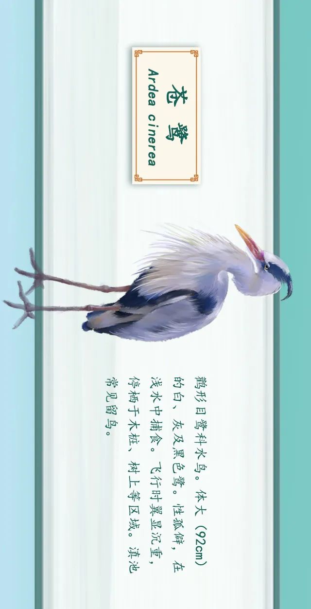 掌上春城(微信)