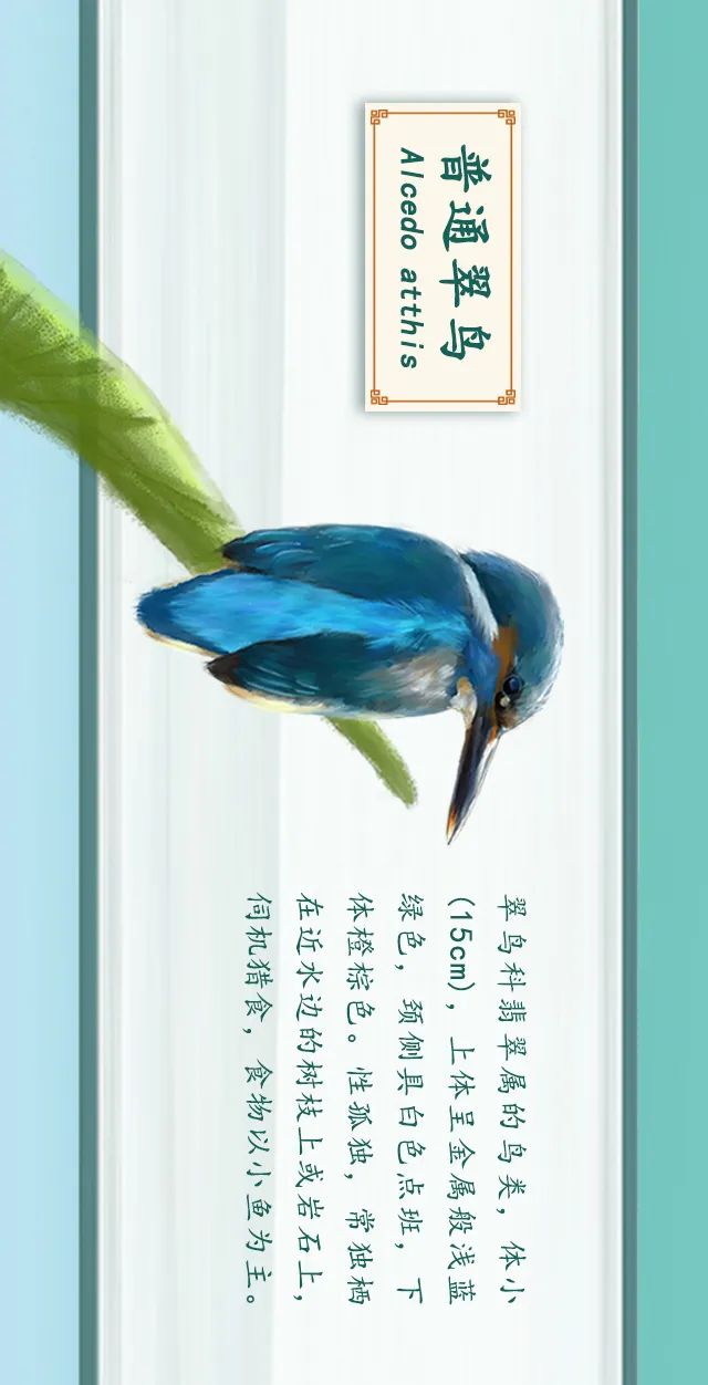 掌上春城(微信)