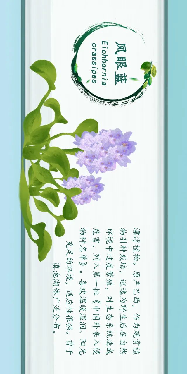 掌上春城(微信)