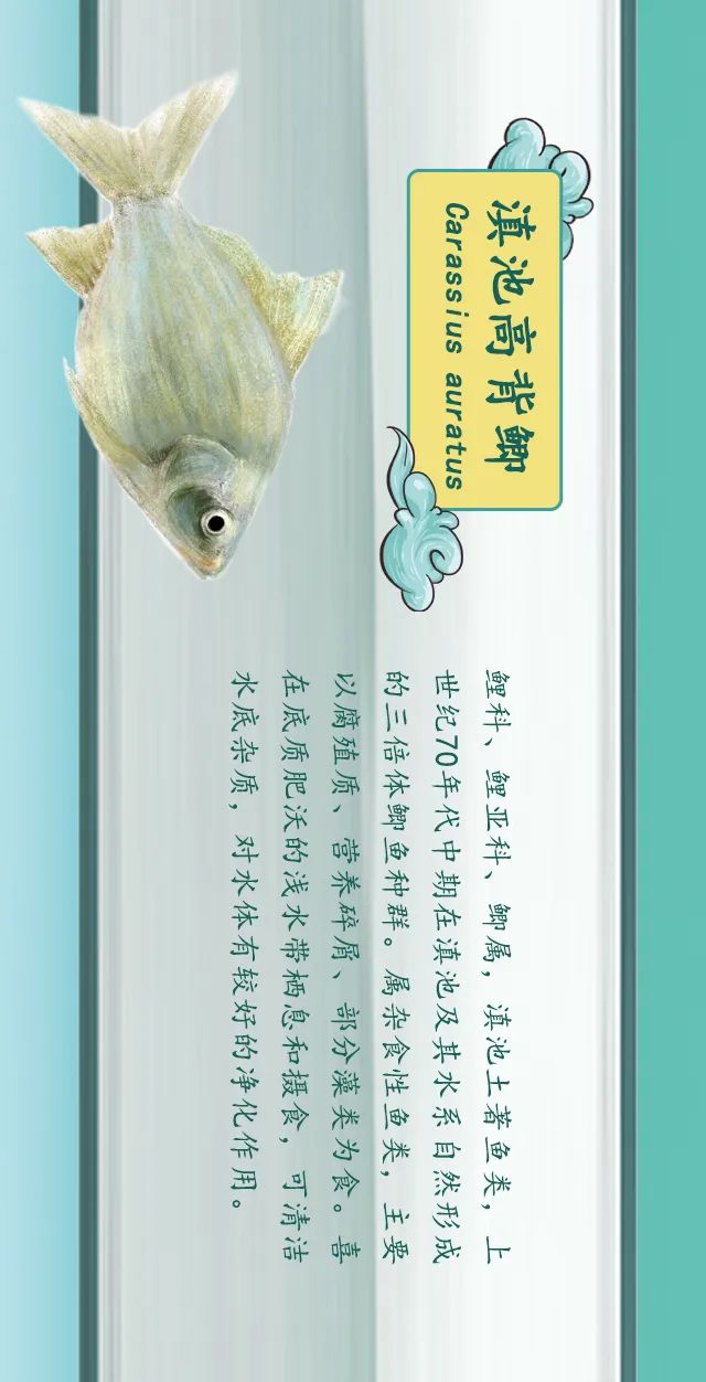 掌上春城(微信)