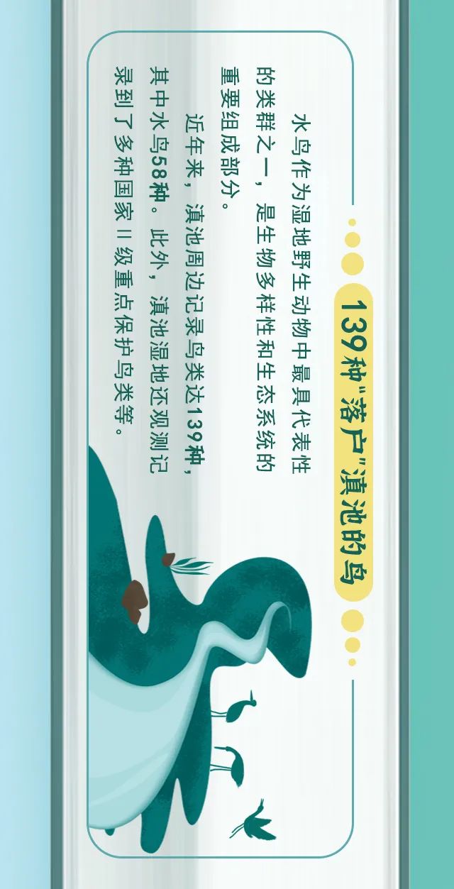 掌上春城(微信)