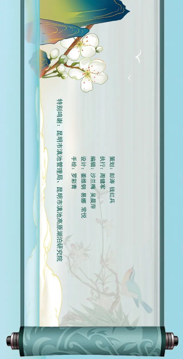 掌上春城(微信)