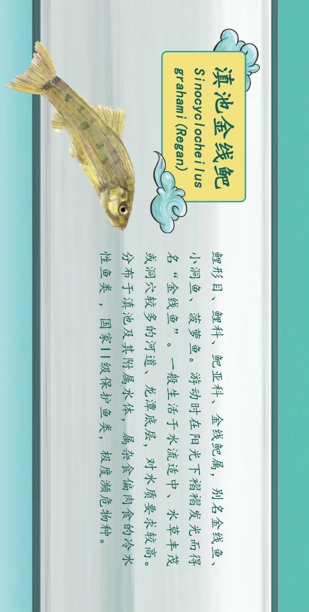 掌上春城(微信)