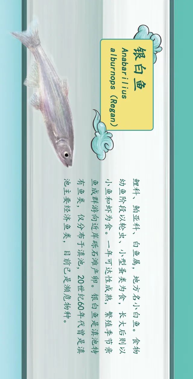 掌上春城(微信)