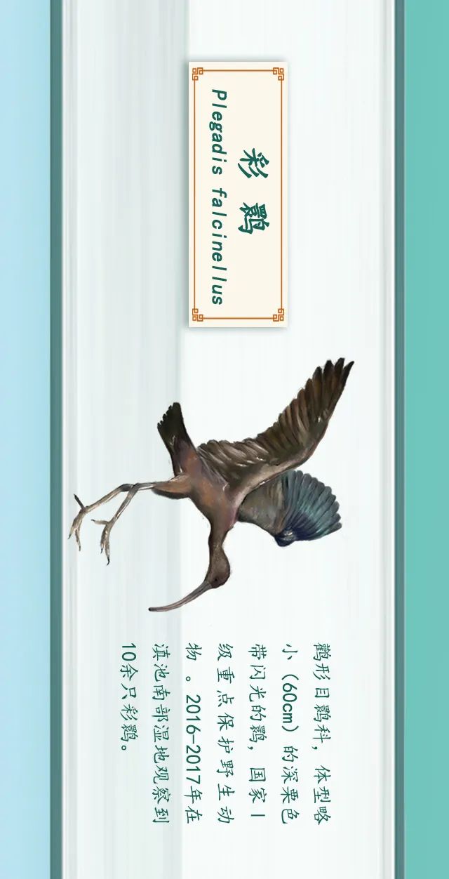 掌上春城(微信)