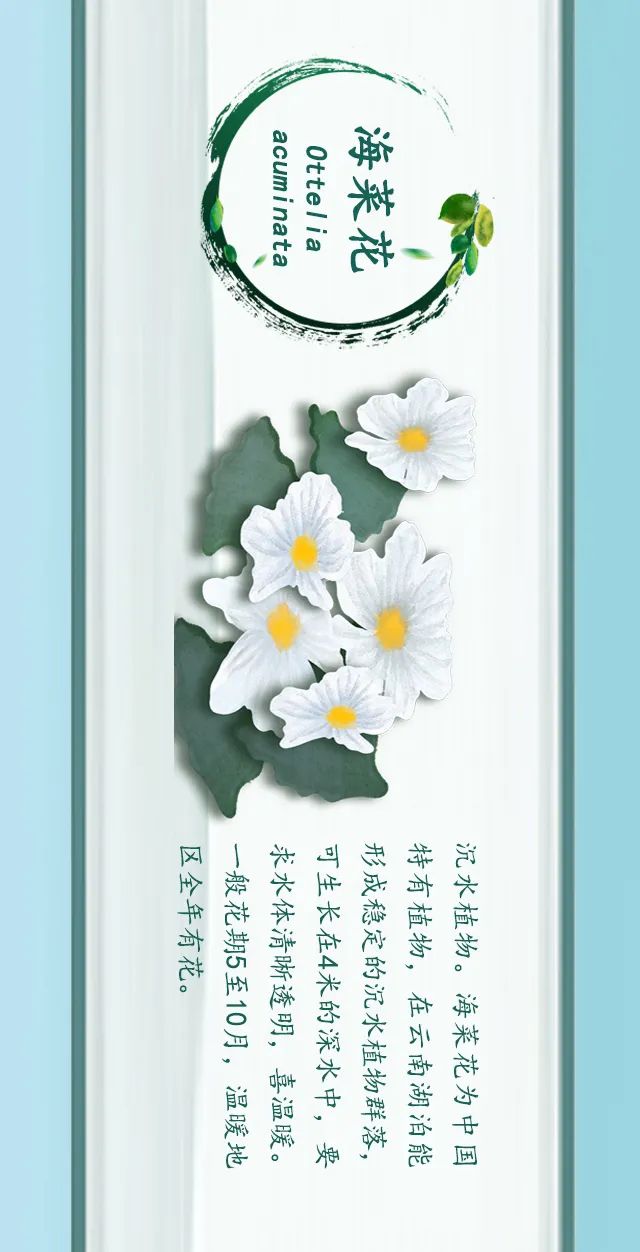 掌上春城(微信)