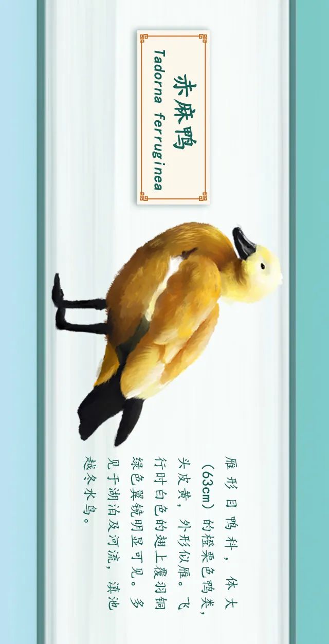 掌上春城(微信)