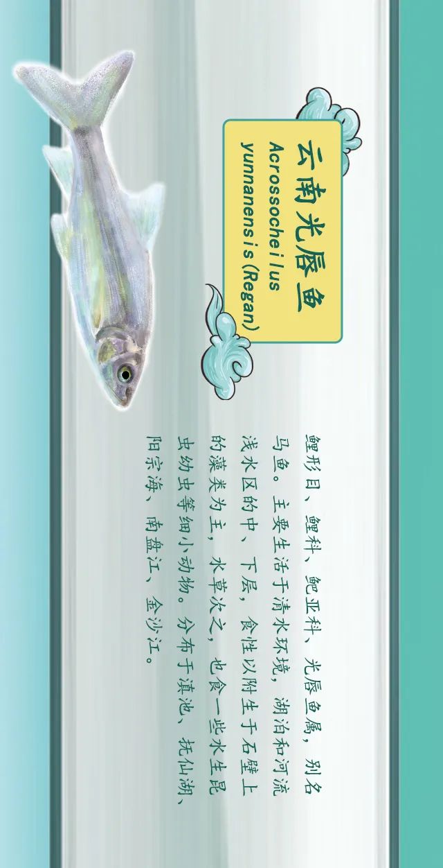 掌上春城(微信)