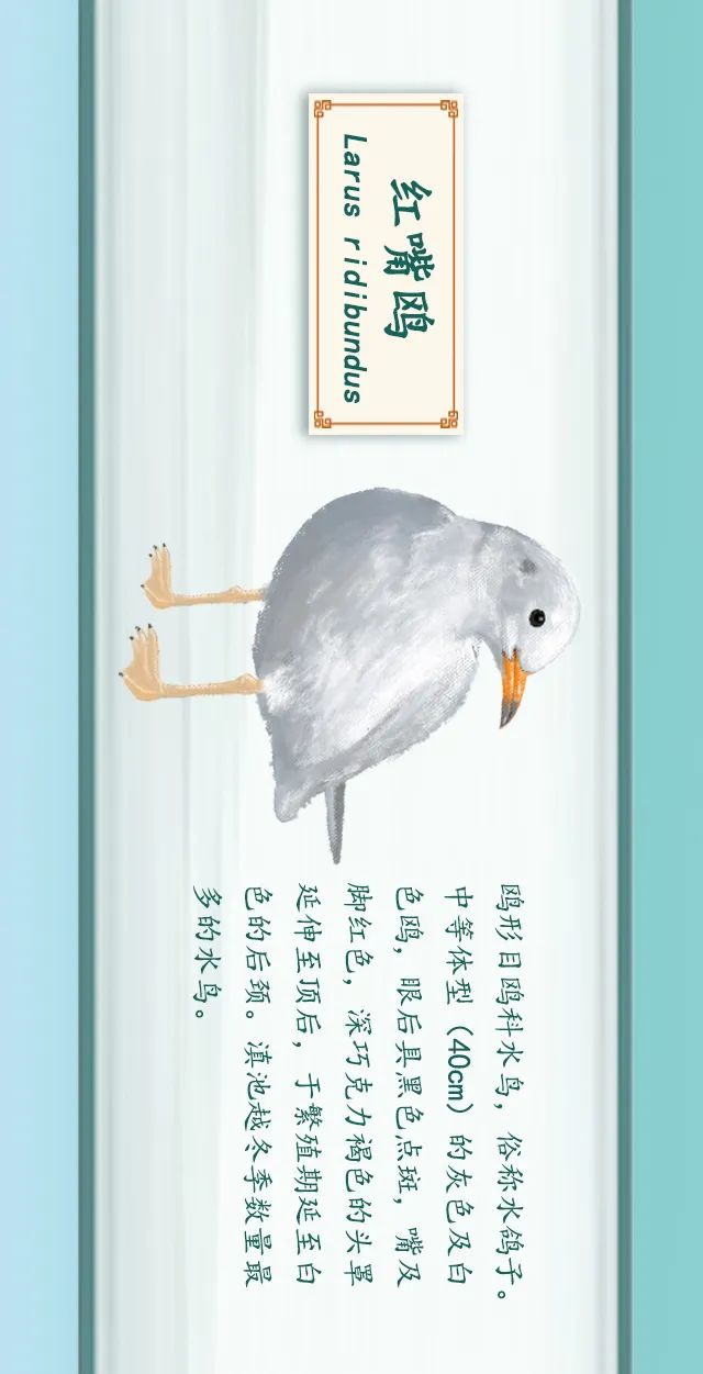 掌上春城(微信)