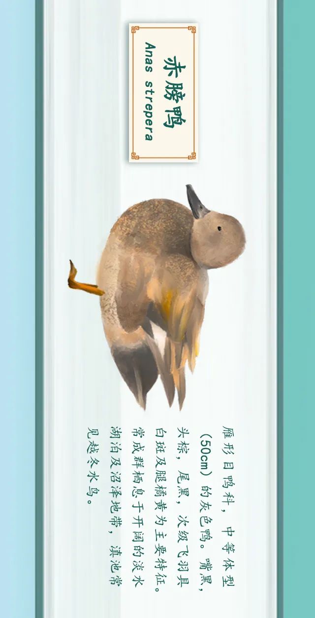 掌上春城(微信)