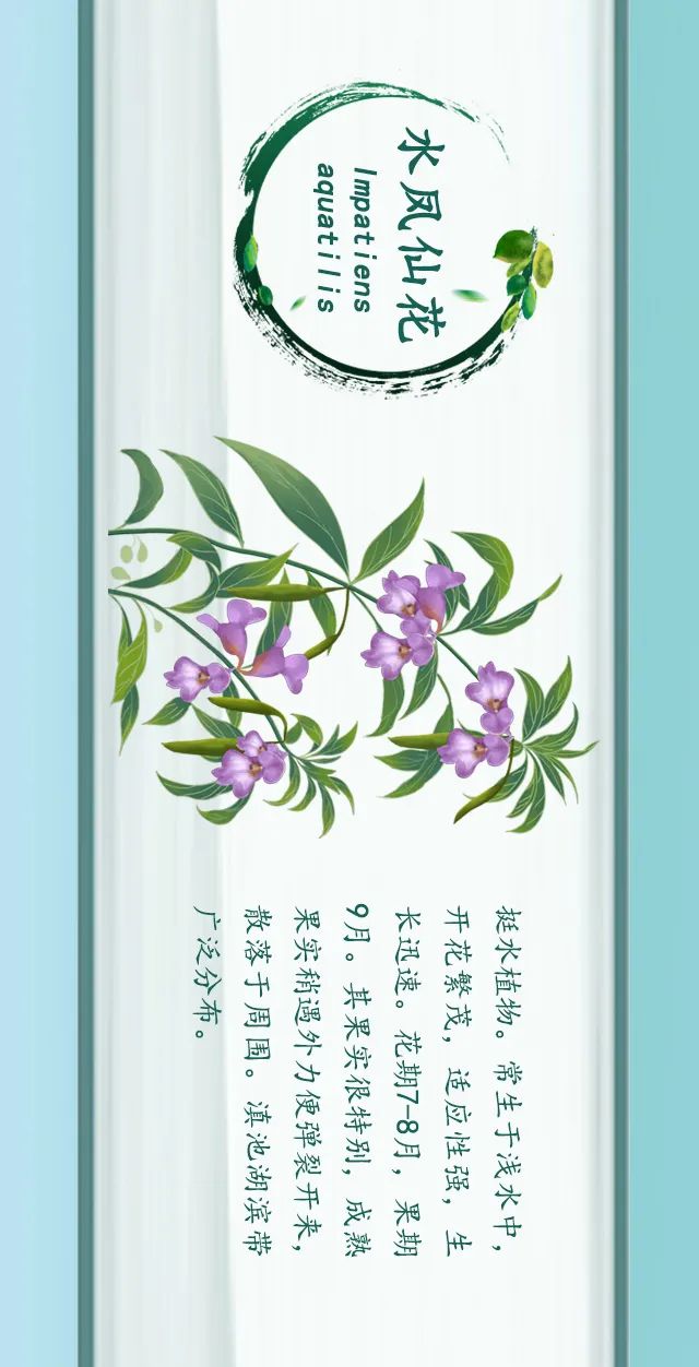 掌上春城(微信)