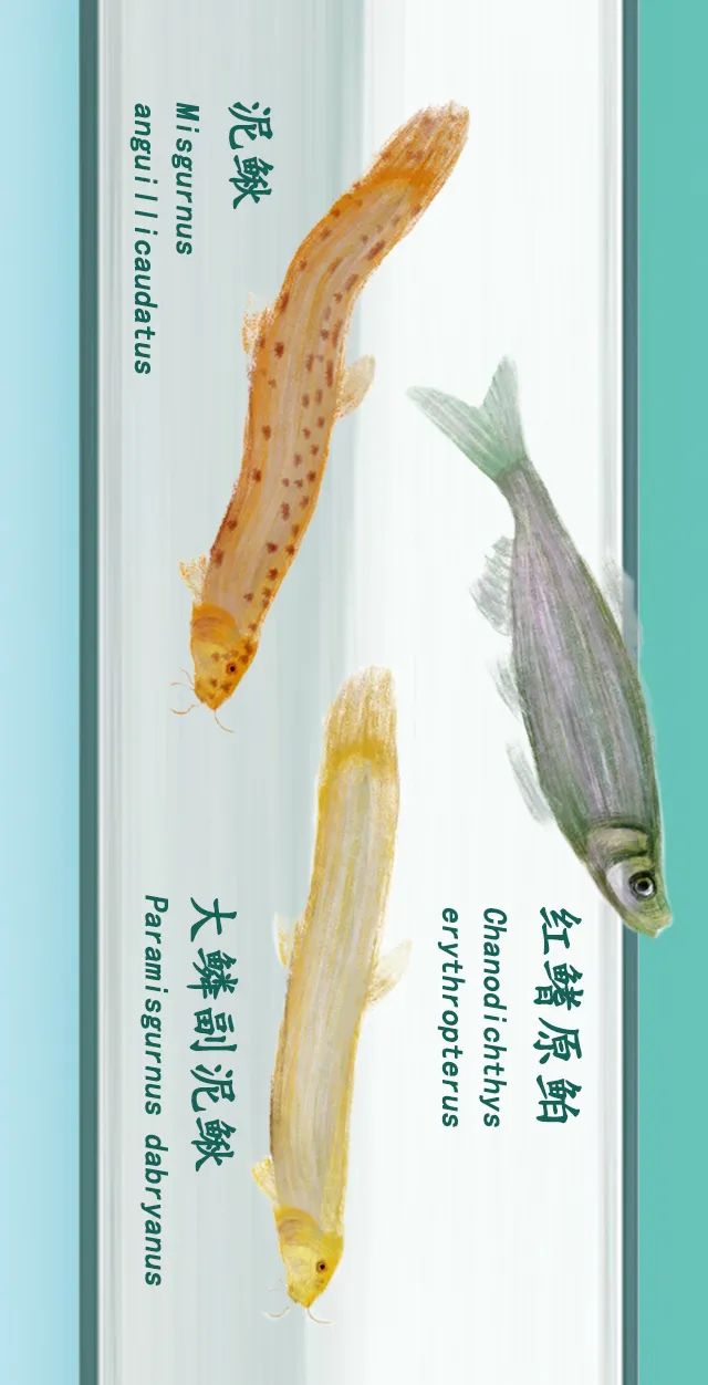 掌上春城(微信)