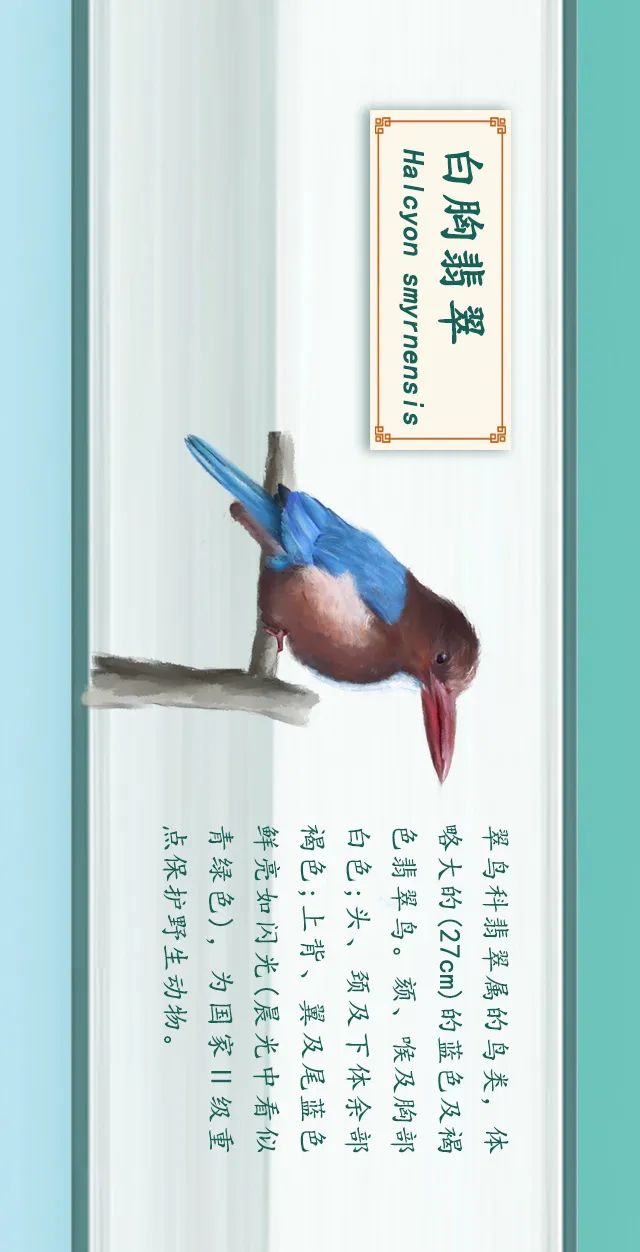 掌上春城(微信)