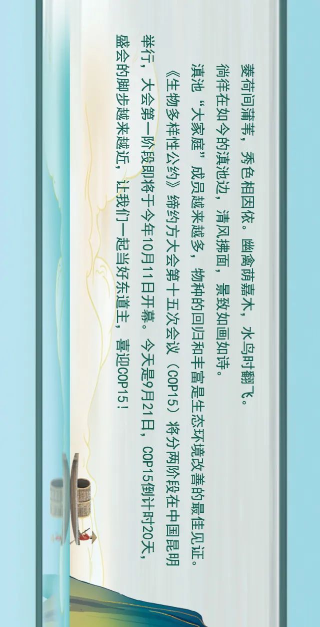 掌上春城(微信)