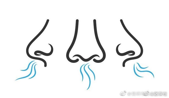 我们的两个鼻孔是均等呼吸吗？