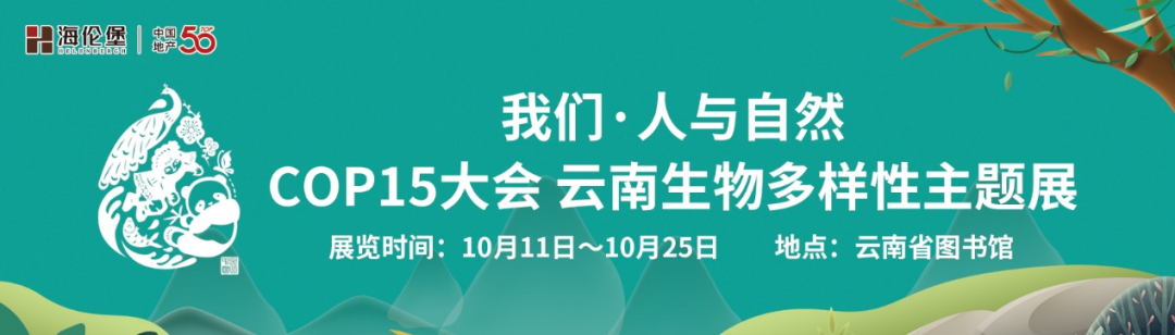 云南信息报(微信)