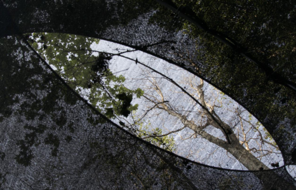 云南信息报(微信)