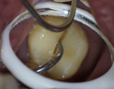 春城晚报(微信)