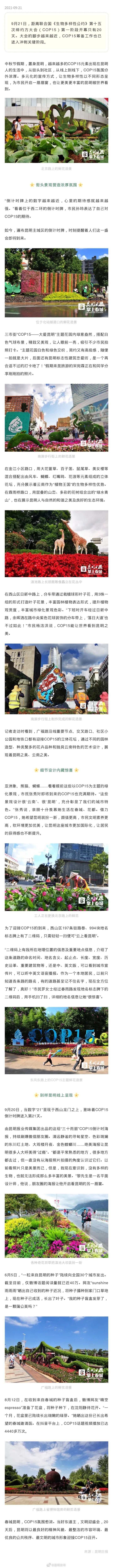 倒计时20天，昆明迎接COP15氛围浓