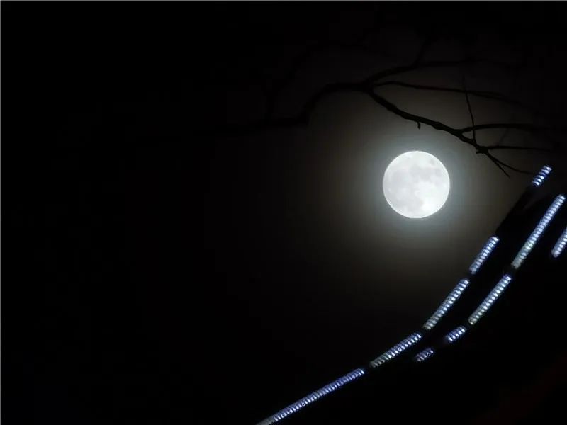 掌上春城(微信)