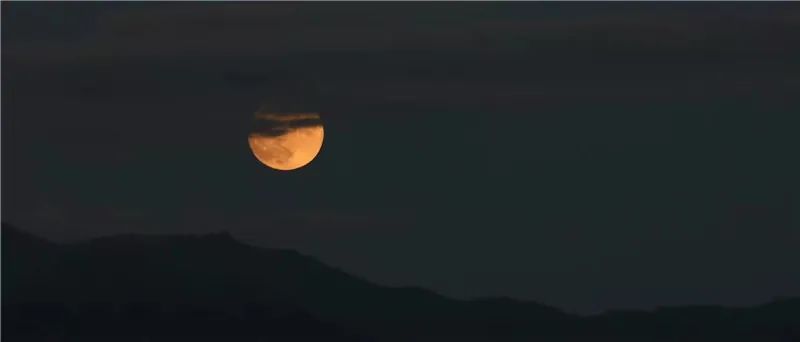 掌上春城(微信)