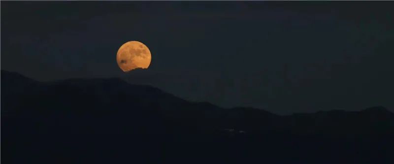 掌上春城(微信)