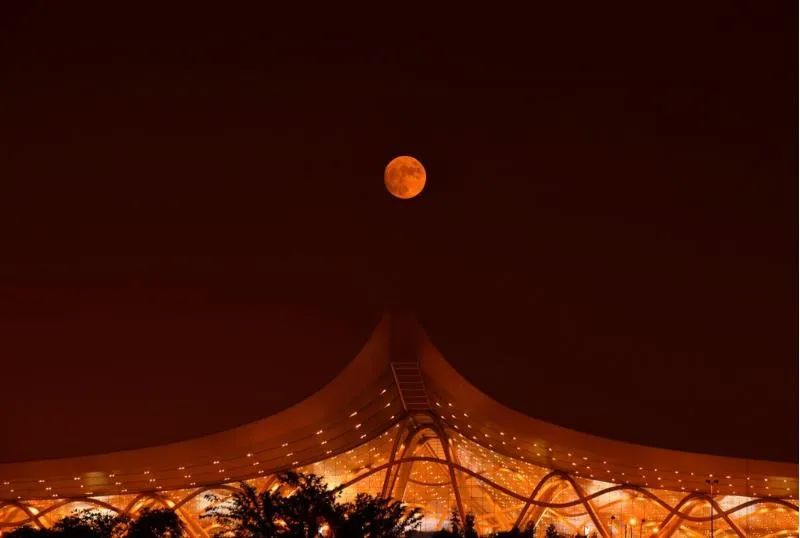 掌上春城(微信)