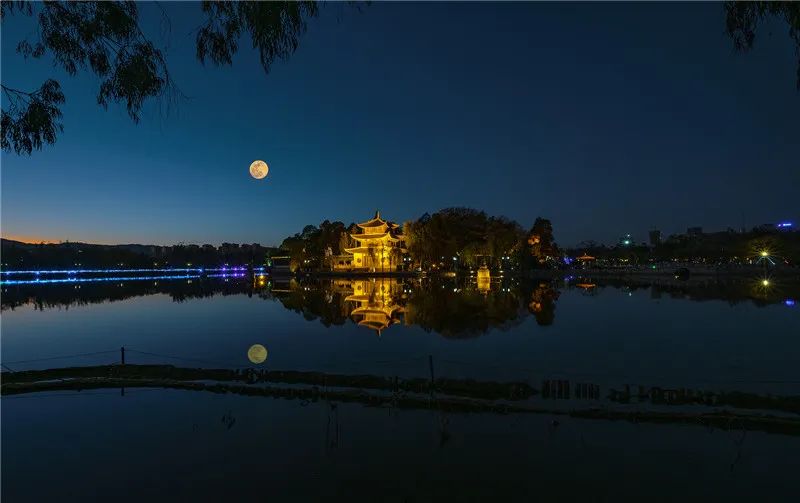 掌上春城(微信)