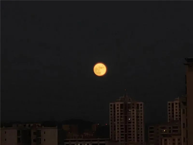 掌上春城(微信)