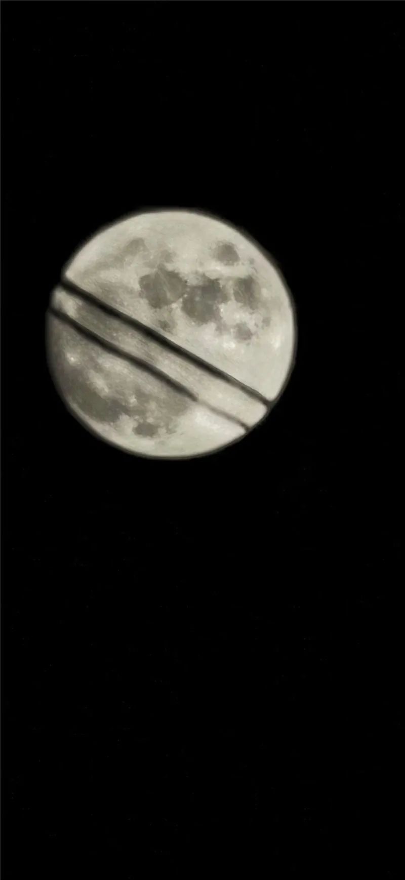 掌上春城(微信)