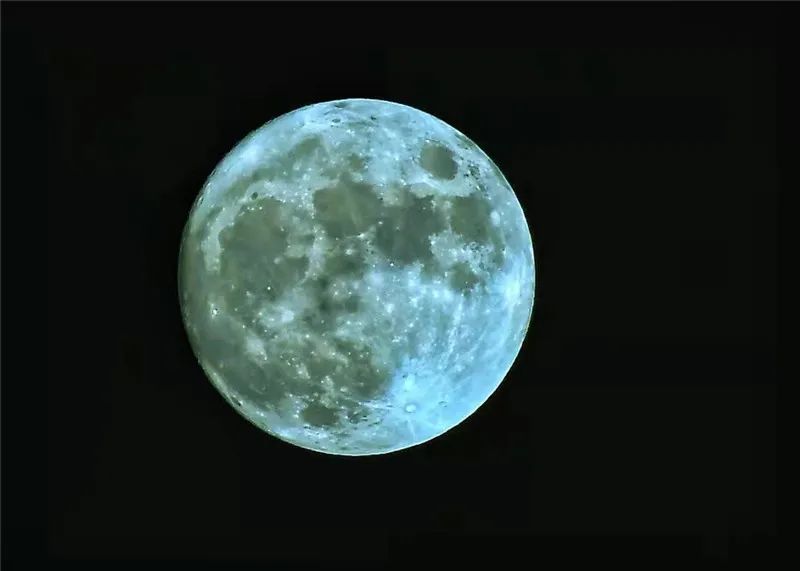 掌上春城(微信)