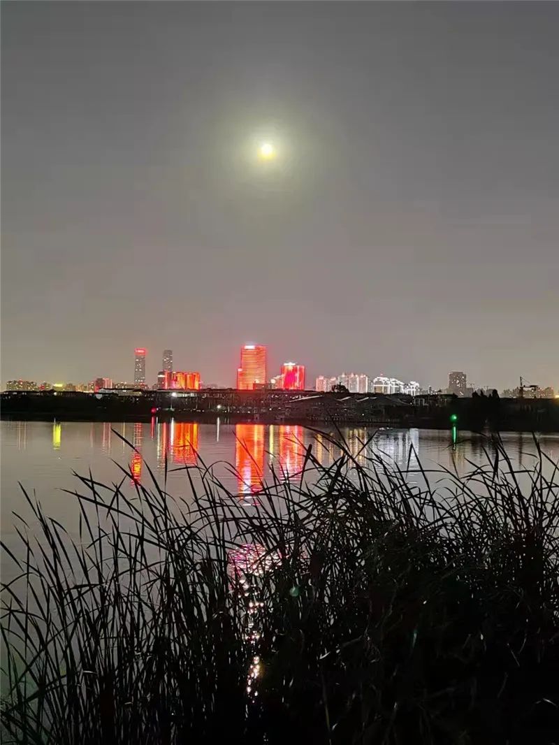 掌上春城(微信)