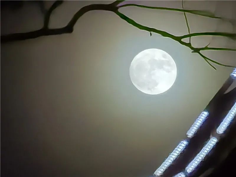 掌上春城(微信)