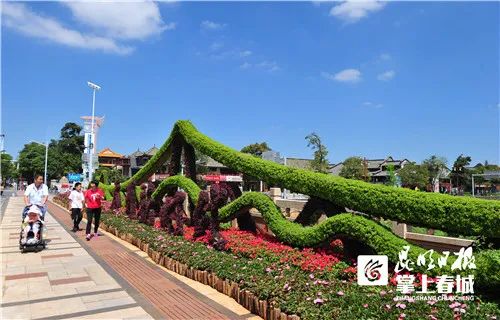 昆明信息港(微信)