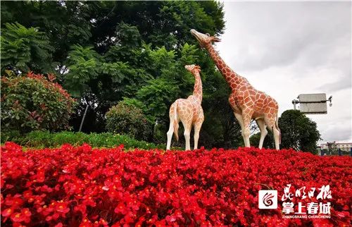 昆明信息港(微信)