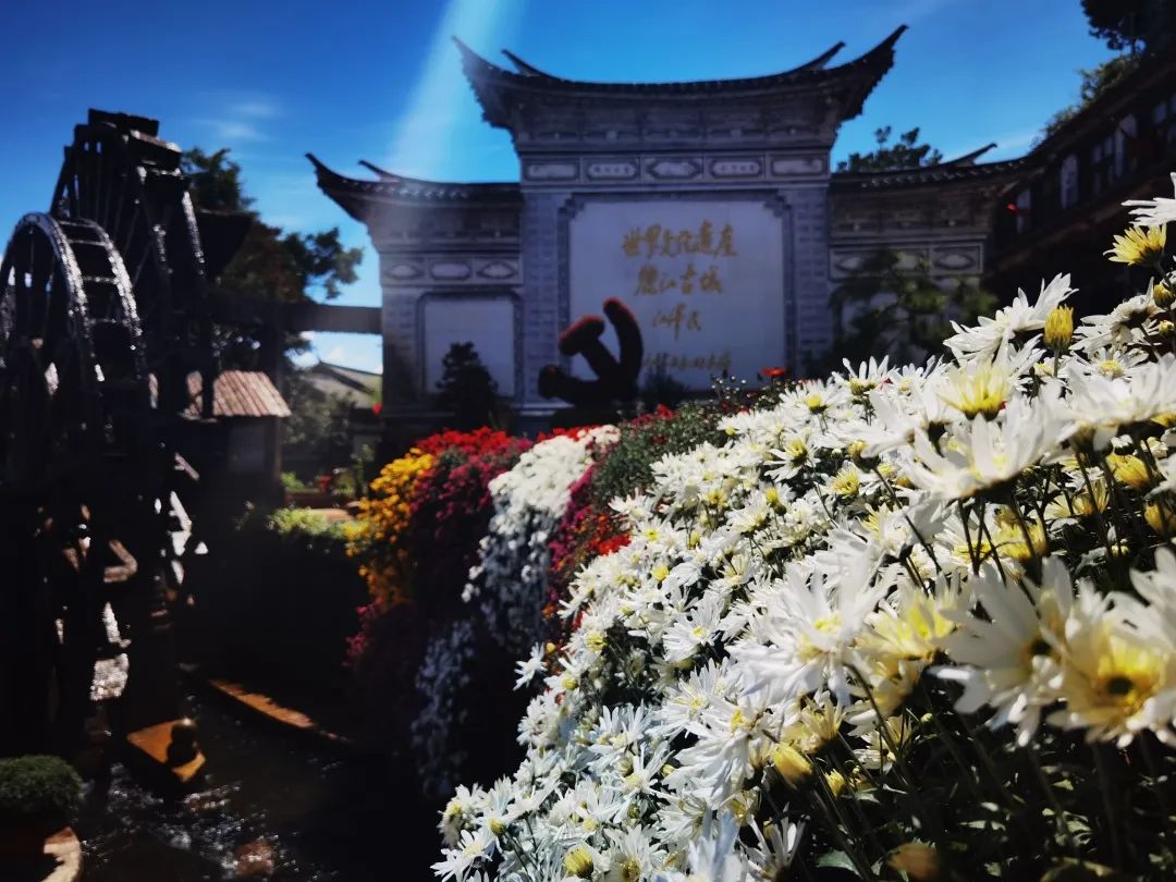 丽江日报(微信)