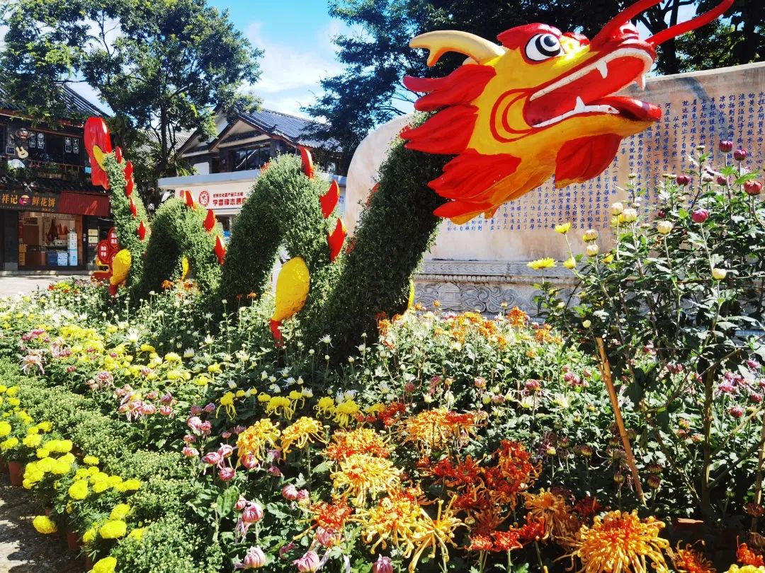 丽江日报(微信)