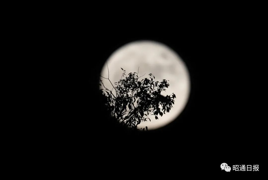 昭通日报(微信)