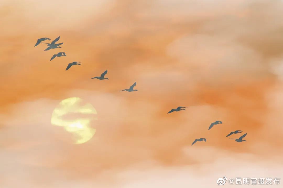 中秋假期旅游收入超371亿元