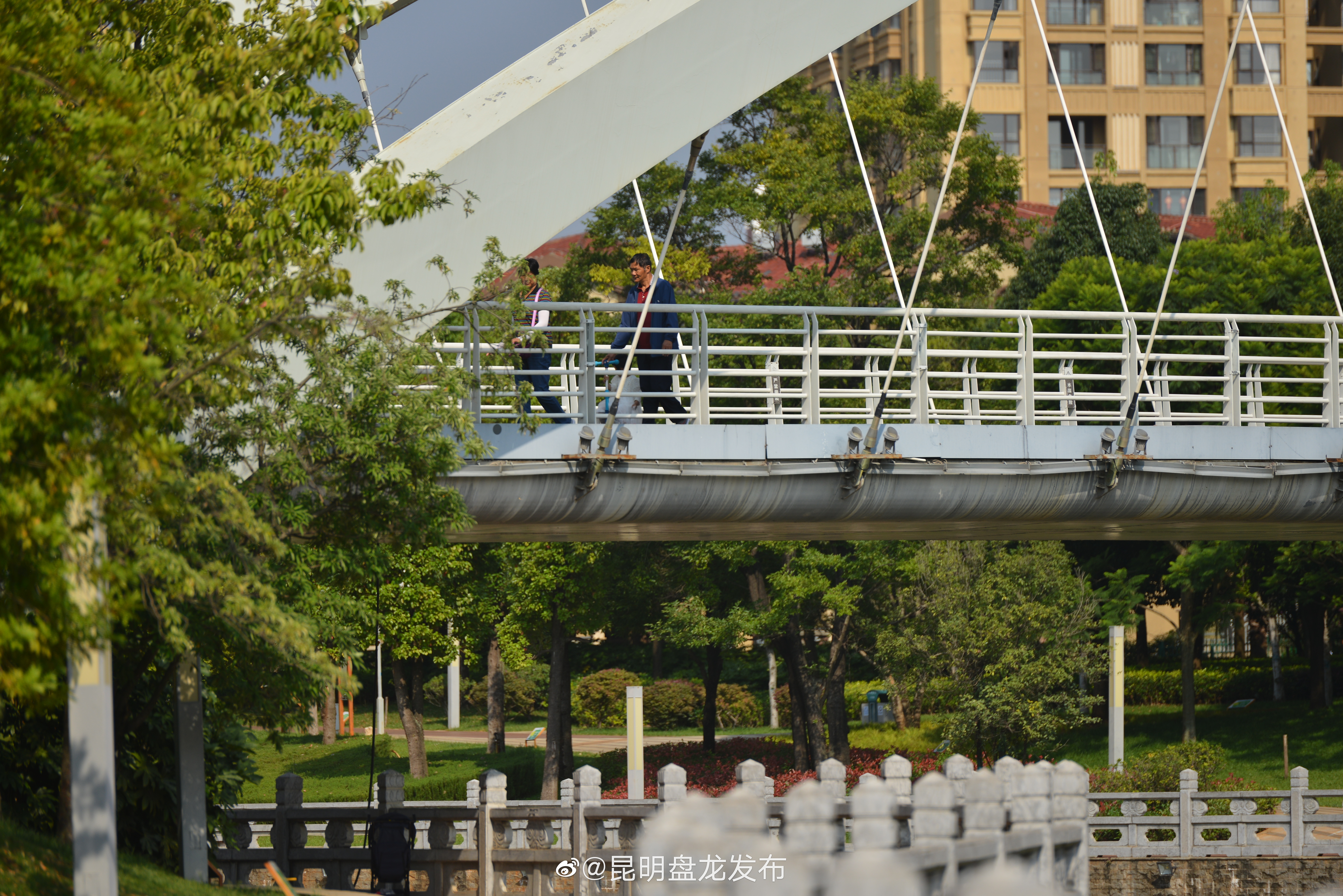 “昆明盘龙发布”微博