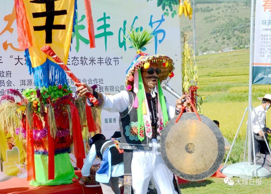 大理日报(微信)