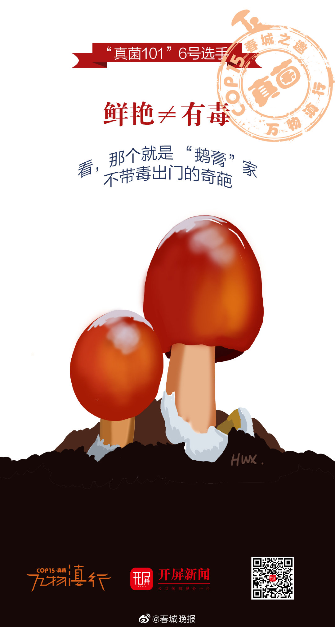 看，那个就是 “鹅膏”家不带毒出门的奇葩