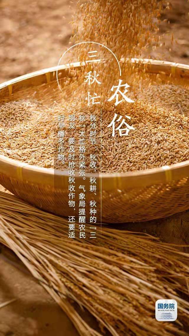 中华人民共和国中央人民政府