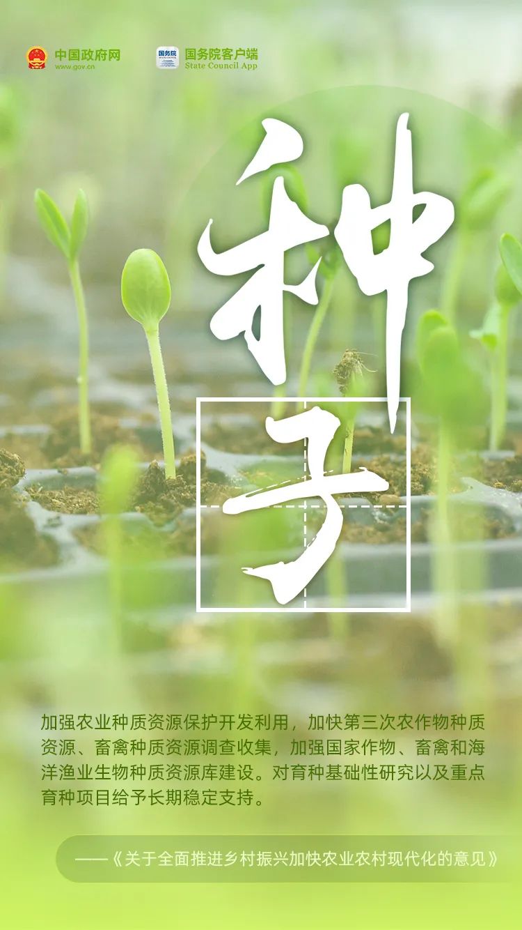 中华人民共和国中央人民政府