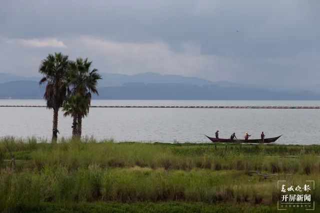 昆明发布(微信)