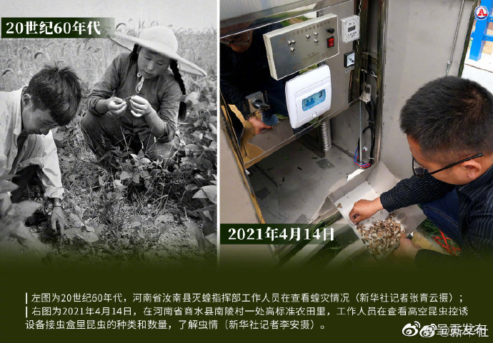 “呈贡发布”微博