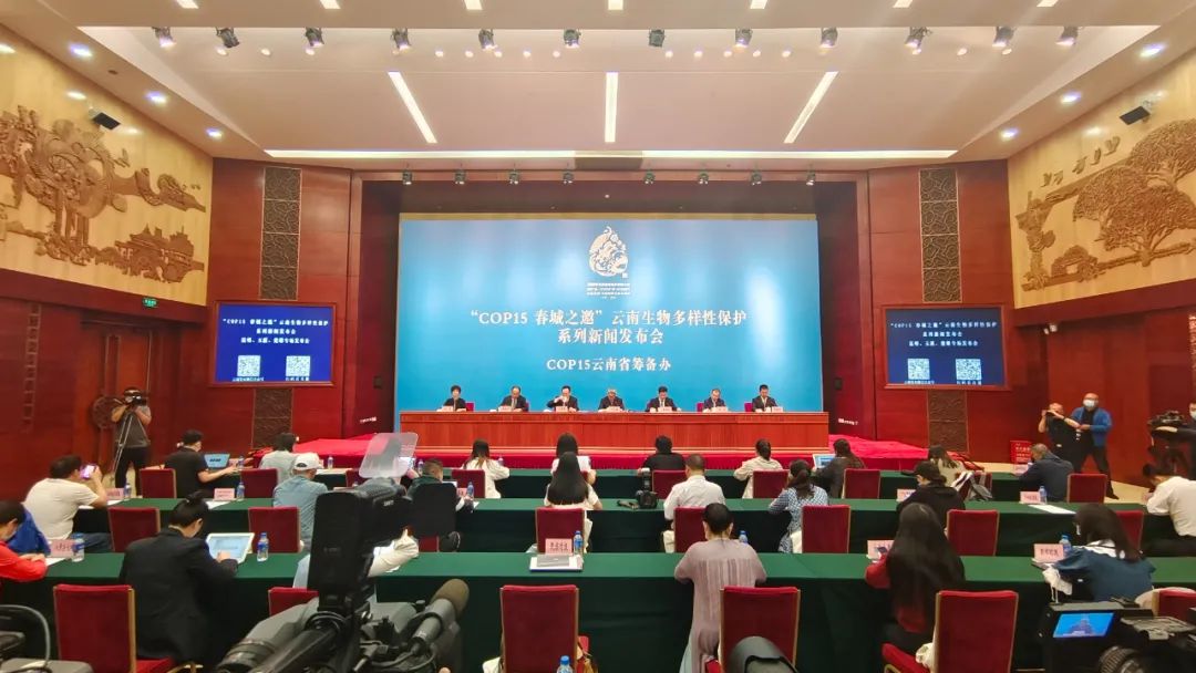 玉溪发布(微信)