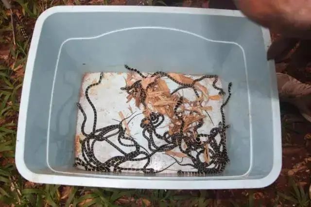 云南政法(微信)